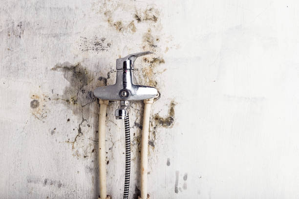 Best Industrial Mold Remediation in Heath, OH