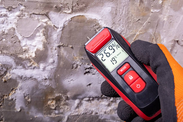 Best Mold Testing and Inspection Services in Heath, OH