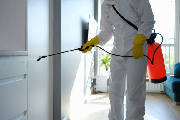 Best Basement Mold Remediation in Heath, OH